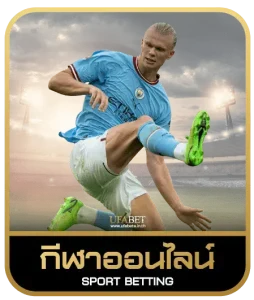 tiger789 เดิมพันกีฬา